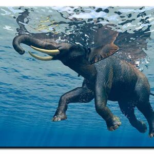 Modernes Leinwandbild - Jumbo Bubbles 2 - Elephant under water-100 x 150 cm